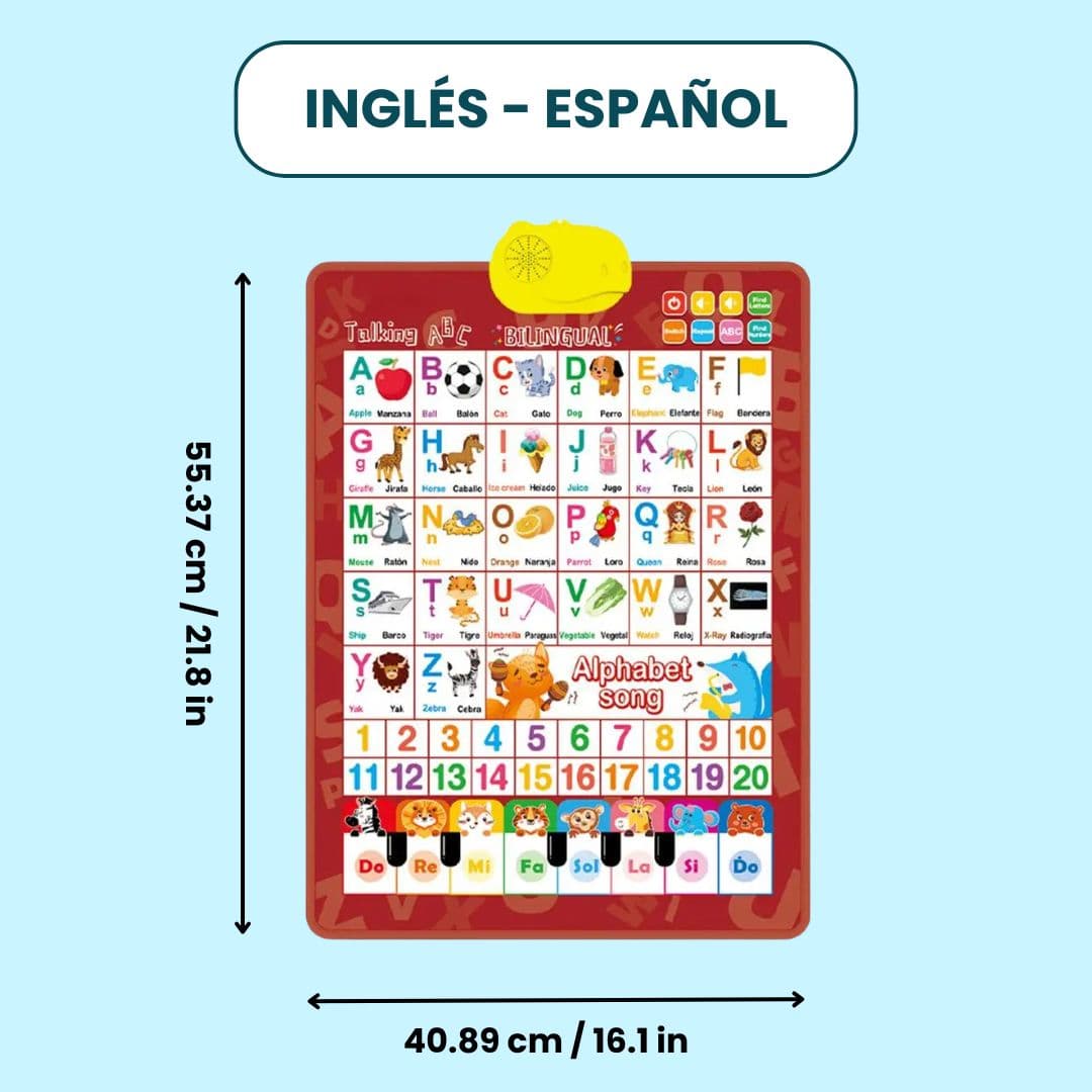 Pizarra Educativa CREARIO™ - CREARIO