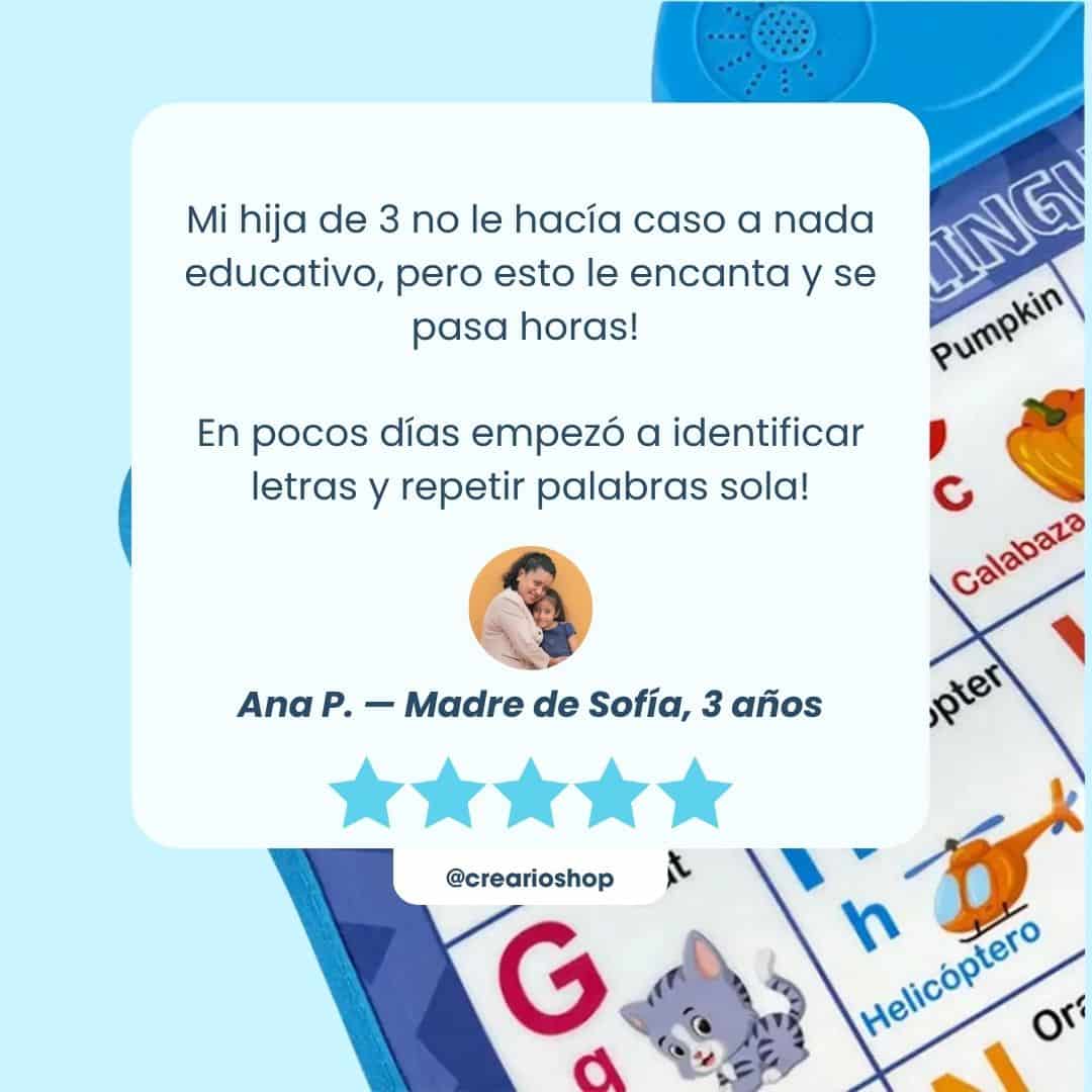 Pizarra Educativa CREARIO™ - CREARIO